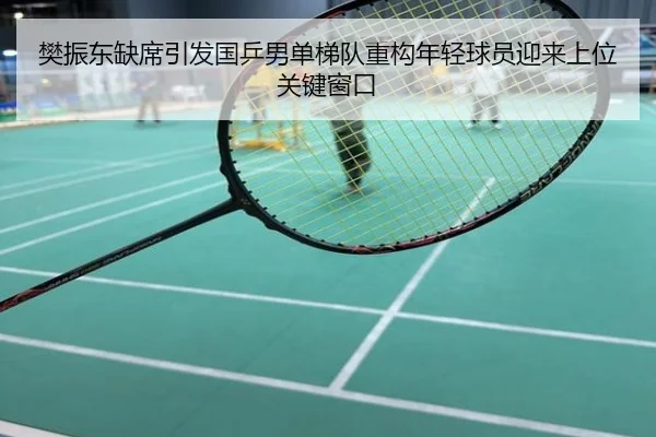樊振东缺席引发国乒男单梯队重构年轻球员迎来上位关键窗口